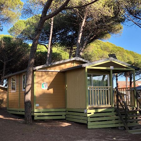 Camping La Tamarissiere Агд Екстер'єр фото