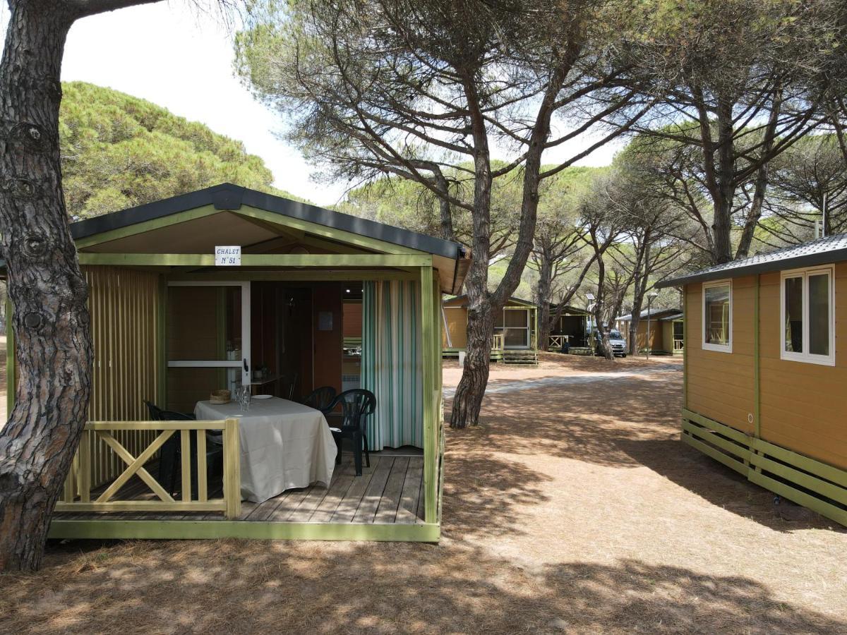 Camping La Tamarissiere Агд Екстер'єр фото