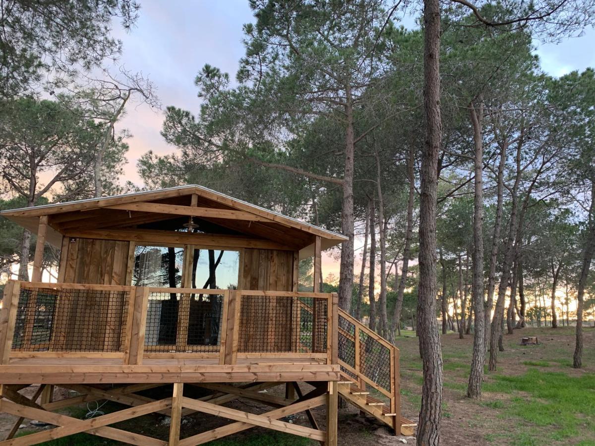 Camping La Tamarissiere Агд Екстер'єр фото